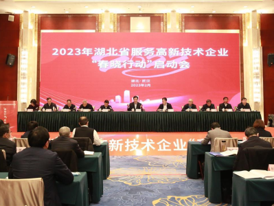 光迅科技财务能力要求解析，企业稳健发展的基石