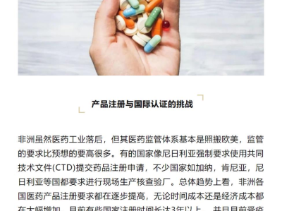 医药科技公司风险探析，挑战与机遇并存