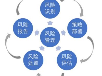 科技巨头生存，揭秘风险之源与内外困境
