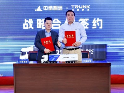 中储科技，科技创新之路上的风险与策略应对