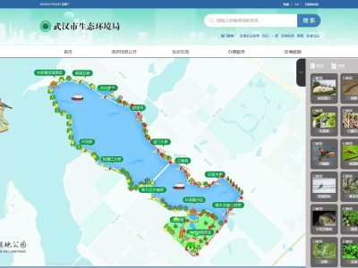探秘藏龙岛，光迅科技的位置与未来展望