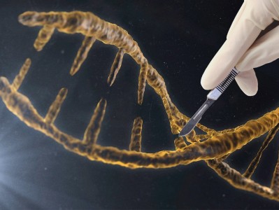 基因科技风险，揭秘未来生物革命的阴影面