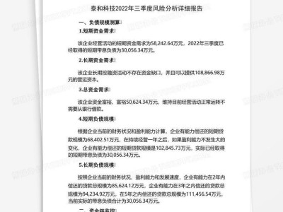 泰和科技风险全景解析，与应对策略深度剖析
