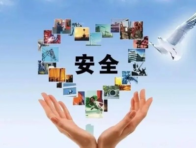 科技产业园区建设，风险与机遇并行的解析