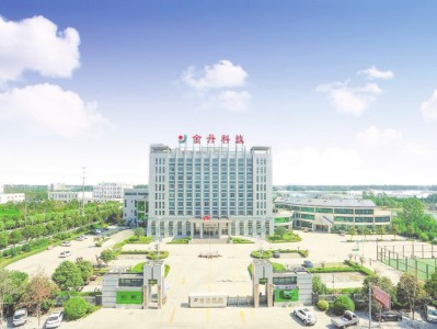 金丹科技，揭秘其风险与机遇并存的发展之路