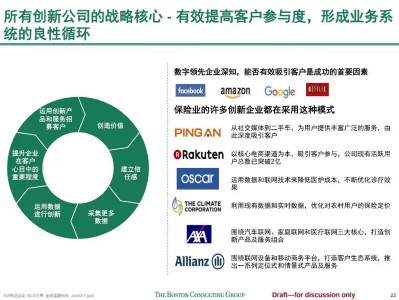 全球化浪潮中的科技输出风险与应对策略