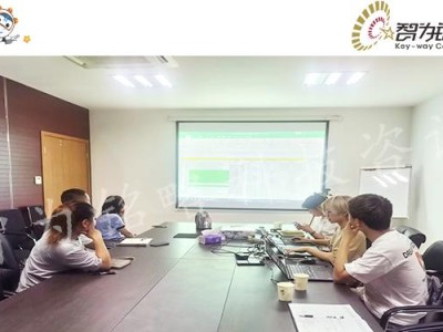 科技型企业风险管理与成长策略剖析