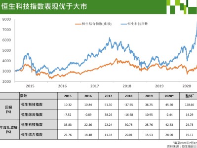 恒生科技指数风险分析，挑战与机遇并存