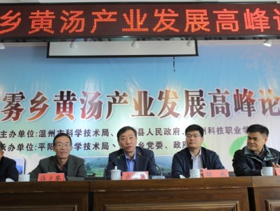 县域科技创新风险防控策略研究