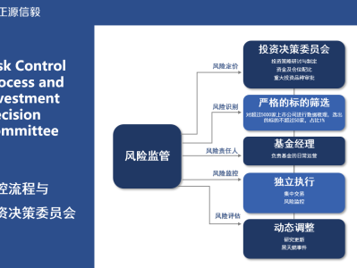 正业科技风险规避与创新发展策略解析