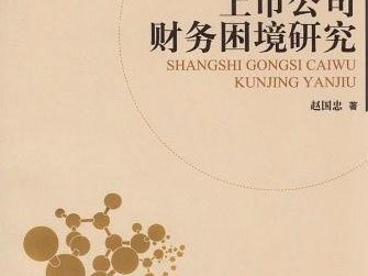 科技财务风险成因深度解析