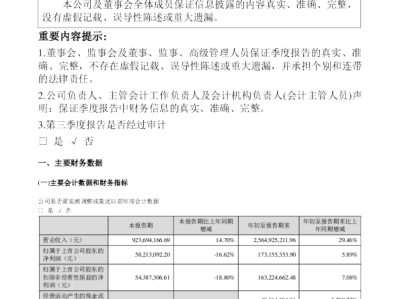 长信科技战略风险分析，挑战与机遇并存