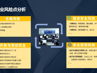 科技风险分析，科技公司的与策略应对