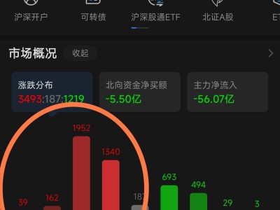 安陆科技申购攻略，风险预警，理性投资之道