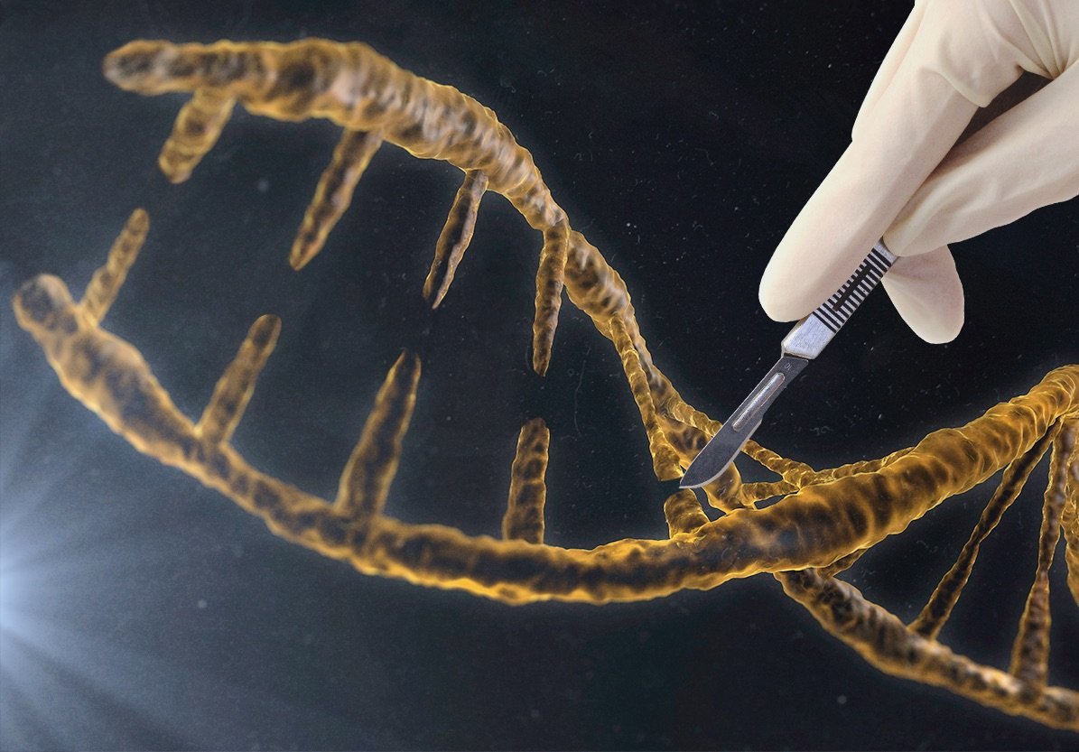 基因科技风险，揭秘未来生物革命的阴影面,第1张