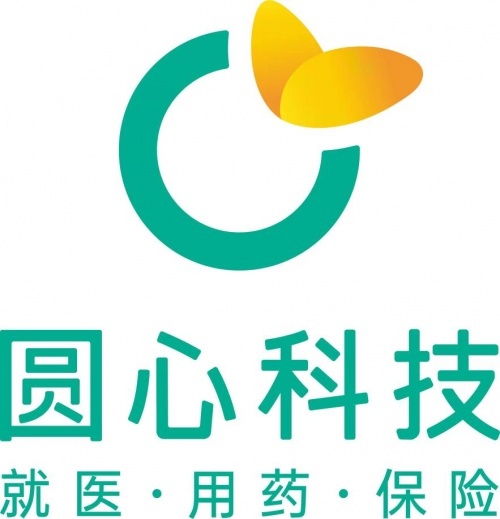 圆心科技财务风险解析，防控策略与应对挑战,第1张