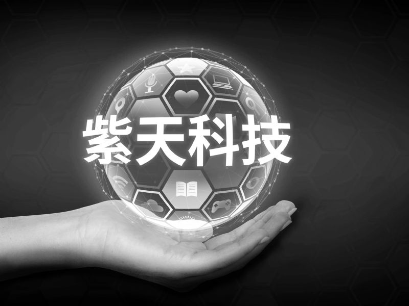 紫天科技风险分析，机遇与挑战并存,第1张