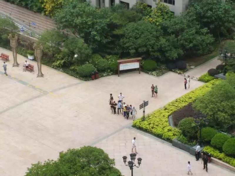 光迅科技惊现悲剧，员工意外离世引发社会关注,第1张
