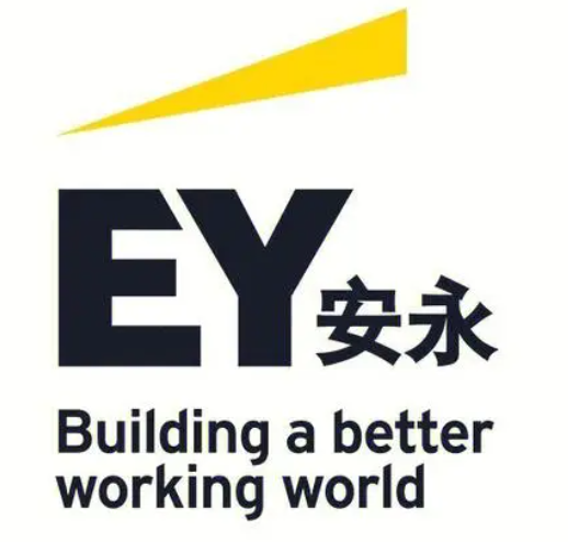 安永科技风险咨询与审计，为企业保驾护航的智能双翼,第1张