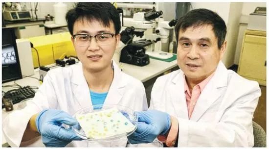 光迅科技，我国量子科技领域的璀璨明星揭秘,光迅科技图片,光迅科技是量子科技吗,光迅科技为,第1张